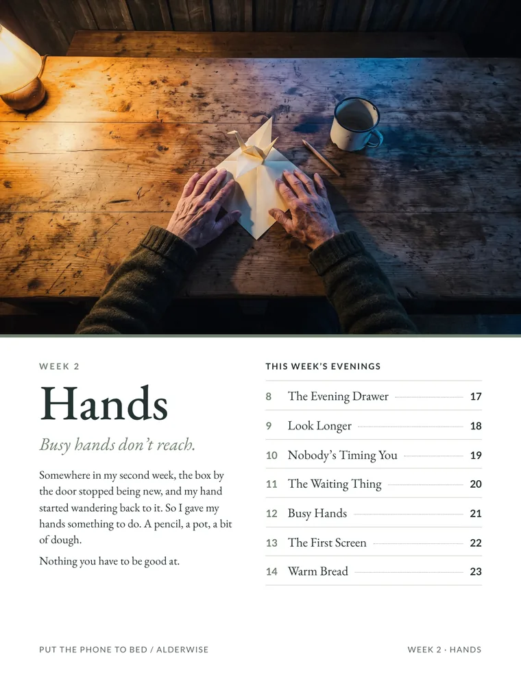 Workbook page 16 of 57: Week 2 begins, Hands.